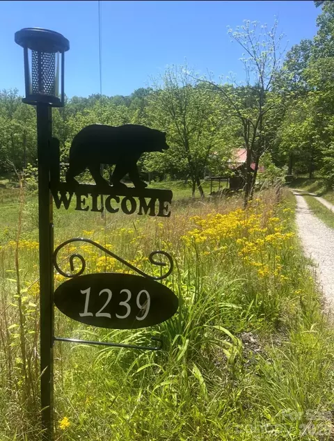 1239 W Mcguinn Rd, Mill Spring, NC 28756