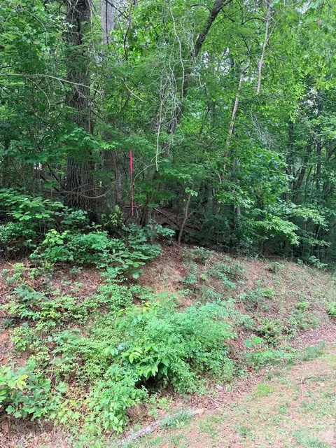 Marley Ford Road, Ferguson, NC 28624