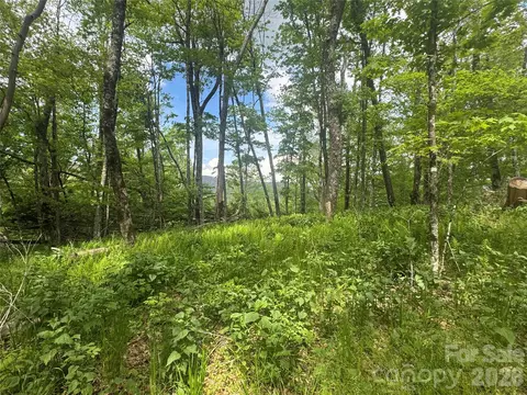 1026 Wolfs Head Ct, Mars Hill, NC 28754