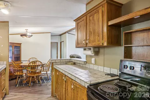 Other - 138 Buddy Ln, Chimney Rock, NC 28720 photo 3 of 5