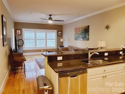 155 S Lexington 203 Ave #203, Asheville, NC 28801