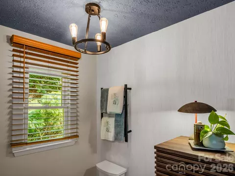 Bath - 395 E Howard St, Tryon, NC 28782 photo 3 of 6