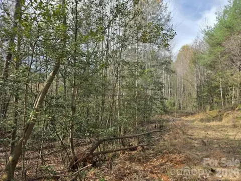 Kerlee Lane, Old Fort, NC 28762