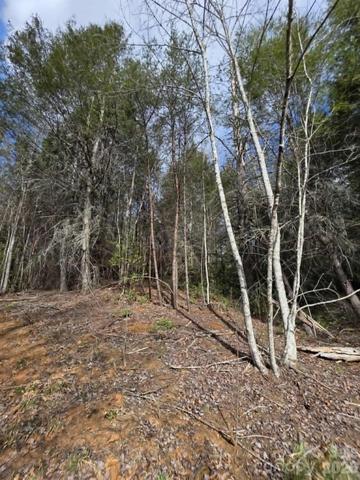 Kerlee Lane, Old Fort, NC 28762