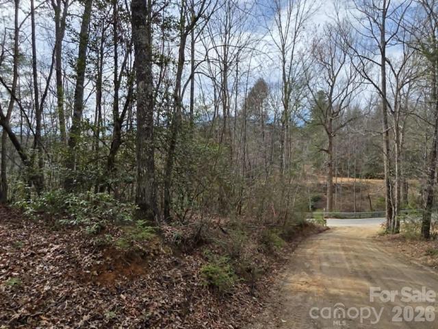 Kerlee Lane, Old Fort, NC 28762