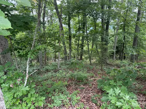 0 Arbra Mountain 54 Way #54, Bostic, NC 28018