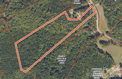000 Laughter Rd, Mill Spring, NC 28756 photo 2