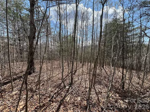 192 Pine Cone 21 Trl #21, Marshall, NC 28753