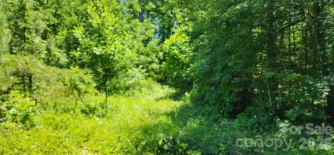 171 Bambi Ln, Mill Spring, NC 28782 photo 13
