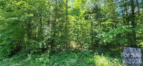 171 Bambi Ln, Mill Spring, NC 28782 photo 10