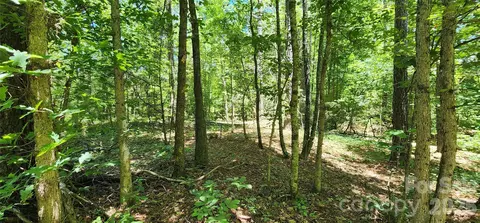171 Bambi Ln, Mill Spring, NC 28782 photo 6