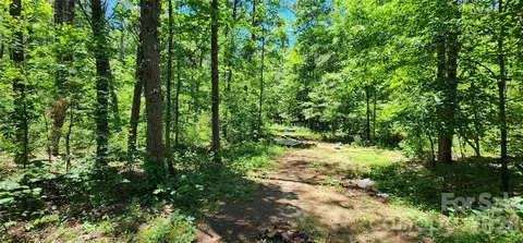 171 Bambi Ln, Mill Spring, NC 28782 photo 9