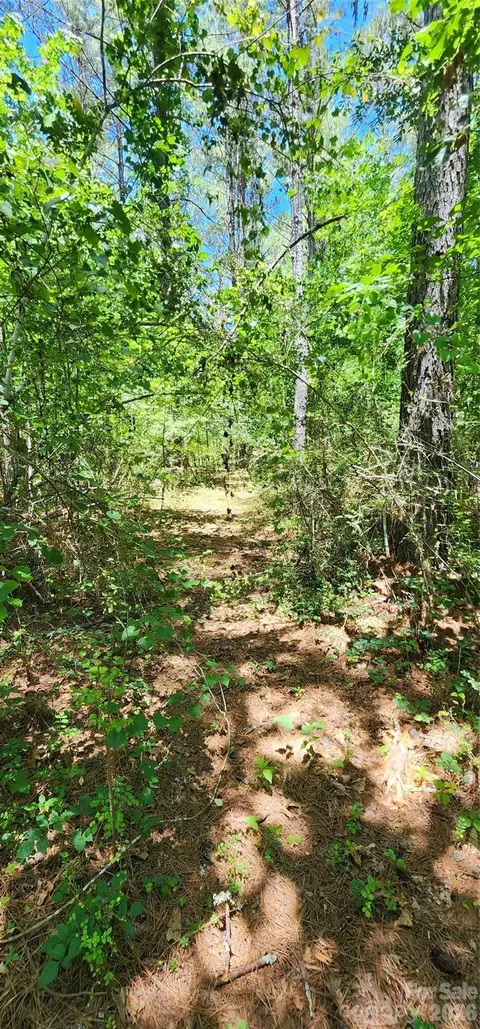 171 Bambi Ln, Mill Spring, NC 28782 photo 2