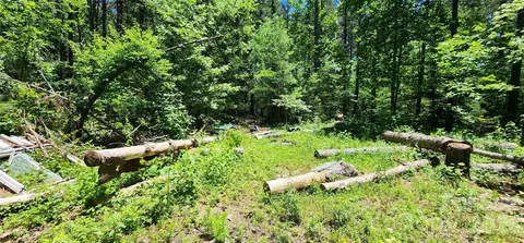 171 Bambi Ln, Mill Spring, NC 28782 photo 7