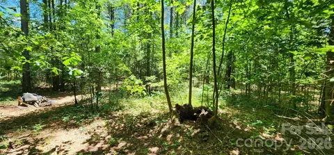171 Bambi Ln, Mill Spring, NC 28782 photo 11