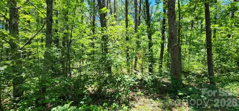 171 Bambi Ln, Mill Spring, NC 28782 photo 8