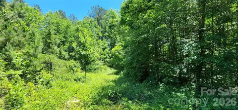 171 Bambi Ln, Mill Spring, NC 28782 photo 12