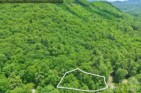 11 Magnolia Branch Dr, Zirconia, NC 28790