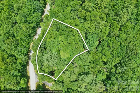 11 Magnolia Branch Dr, Zirconia, NC 28790