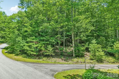 11 Magnolia Branch Dr, Zirconia, NC 28790