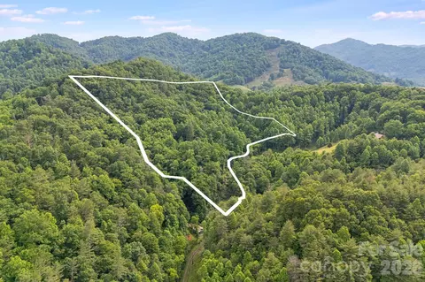 99999 Acorn Dr, Marshall, NC 28754