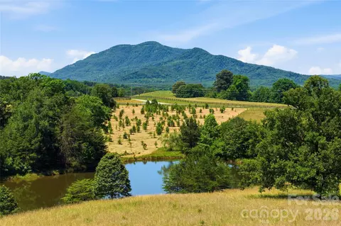 High Meadows Drive, Mill Spring, NC 28756 photo 29