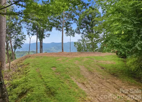 99999 Davidson Gap 79 Rd #79, Leicester, NC 28748