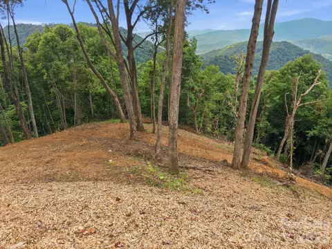 99999 Davidson Gap 79 Rd #79, Leicester, NC 28748