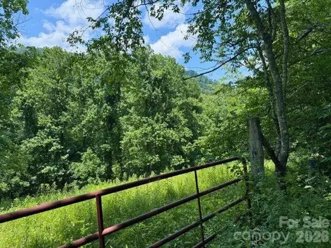 224 Allen Dr, Marshall, NC 28753 photo 37