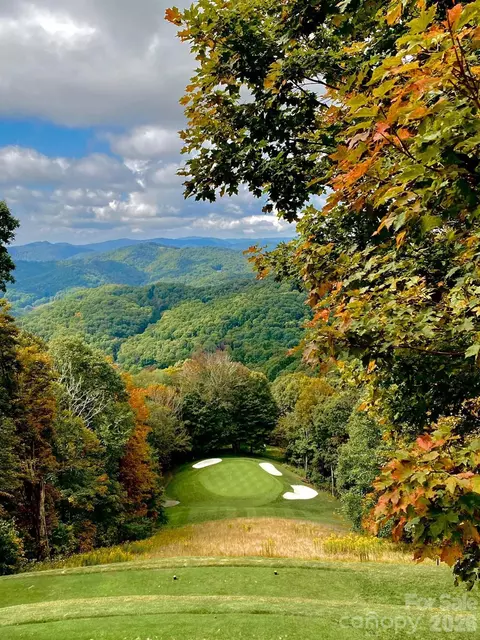 Other - 201 Hampton Gap Dr, Mars Hill, NC 28754 photo 21 of 26