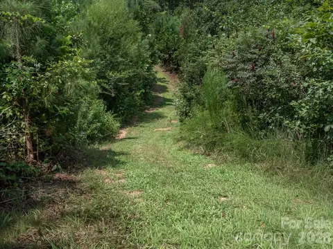 473 Mcentire Rd, Tryon, NC 28782 photo 13