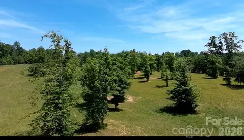 473 Mcentire Rd, Tryon, NC 28782 photo 9
