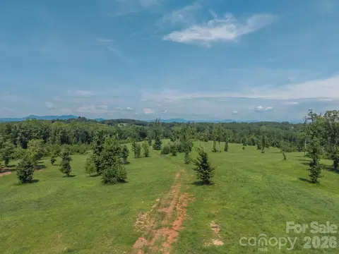 473 Mcentire Rd, Tryon, NC 28782 photo 14