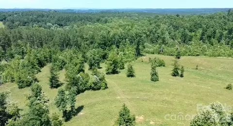 473 Mcentire Rd, Tryon, NC 28782 photo 16