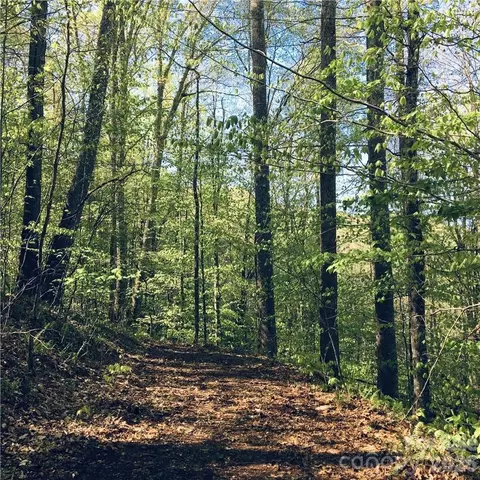 57 Fern Hill Dr, Mars Hill, NC 28754