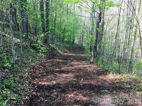 Fern Hill Drive, Mars Hill, NC 28754