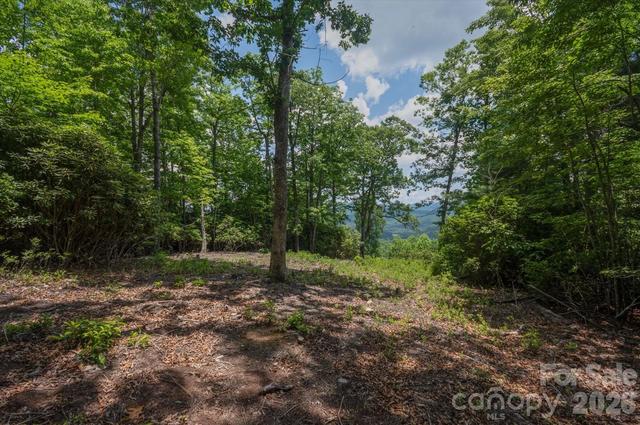 Reserve 16 Road #16, Pisgah Forest, NC 28768
