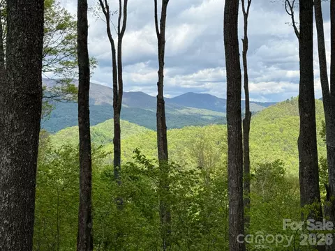 1817 E Reach 216 Rd #216, Sylva, NC 28779 photo 3