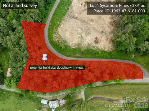 Sycamore Road, Vilas, NC 28692