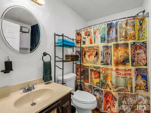 Bath - 115 Cinnamon Way, Flat Rock, NC 28731 photo 1 of 3