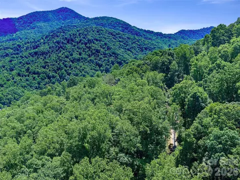 9999 Lovebird 19 Ln #19, Candler, NC 28715