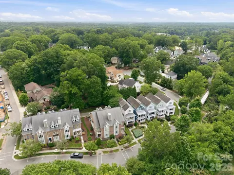 View/Area - 425 Spring St, Davidson, NC 28036 photo 3 of 4