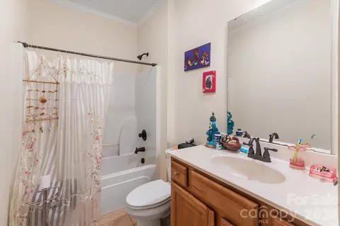 Other - 115 Barton Rd, Brevard, NC 28712 photo 8 of 16