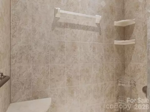 Bath - 803 Talking Stick Ln, Fort Mill, SC 29708 photo 4 of 4