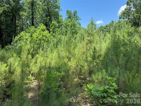 206 Corry Ln, Bostic, NC 28018 photo 12
