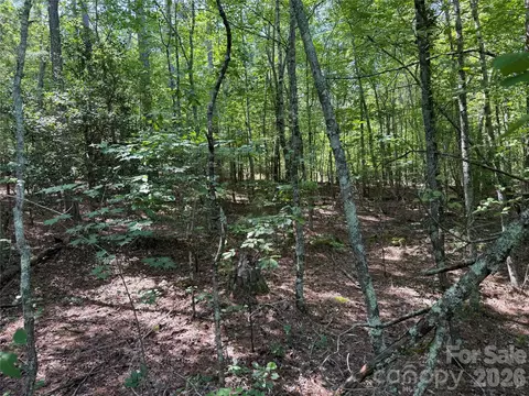 206 Corry Ln, Bostic, NC 28018 photo 7