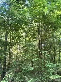 Ricks Road, Sharon, SC 29742
