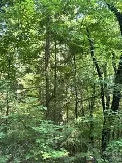 Ricks Road, Sharon, SC 29742 photo 2