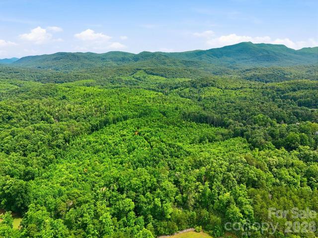 2301 Parker Padgett Rd, Old Fort, NC 28762