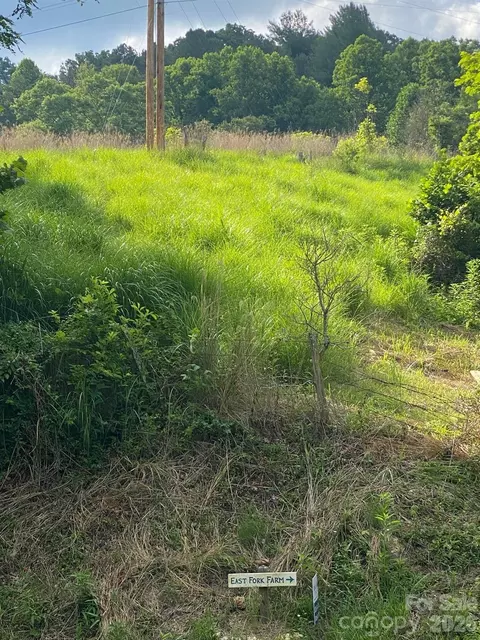 000 E Fork Rd, Marshall, NC 28753 photo 21